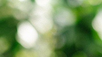 Pamela Silva junto a su hijo Ford