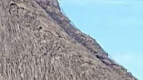 Paris Hilton y Carter Reum