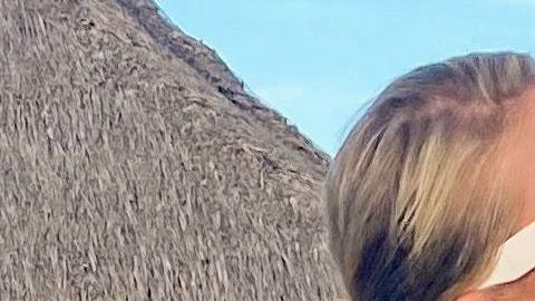 Paris Hilton y Carter Reum