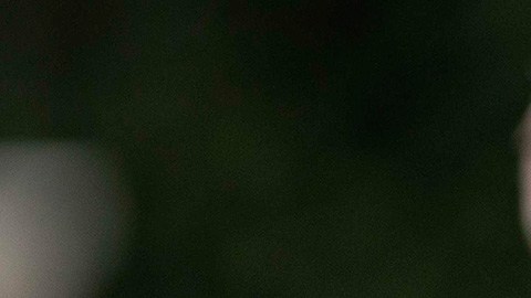Quincy Promes, Ajax