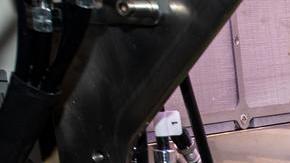 Plantas de rábano del experimento Plant Habitat-02 que se cosecharon el 30 de noviembre de 2020.