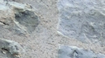 Estatua medieval dedicada a Roland.