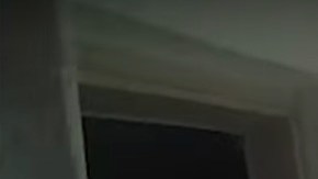 El momento en que la perra es arrojada.