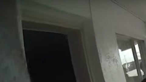El momento en que la perra es arrojada.