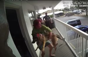 Mujer de Florida arroja a su perra por un balcón frente a policías