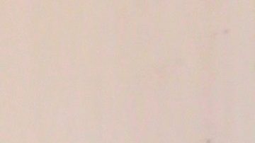 Toni Costa y Adamari López