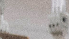 Vacuna coronavirus Pfizer Virginia