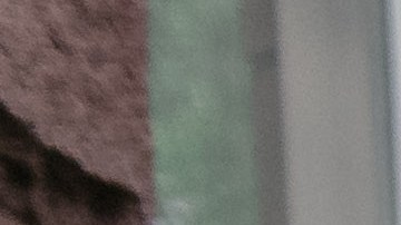 Apoyo contra desalojos y deudas de alquiler.