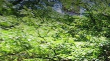 Brooklyn Heights Promenade, apacible zona