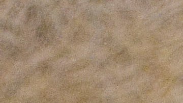 Cheques de estímulo.