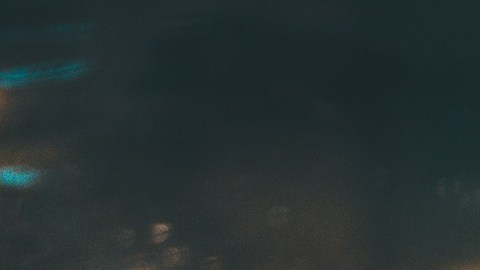 cocodrilos