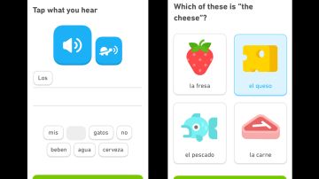 La aplicación para aprender idiomas.