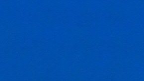 Equipo económico de Joe Biden (arriba de izquierda a derecha) nominados a presidir el Consejo de Asesores Económicos (CEA), Cecilia Rouse, secretaría del Tesoro, Janet Yellen, Subsecretario del Tesoro, Adewale Wally Adeyemo, (abajo) miembro de la CEA, Jared Bernstein, Oficina de la gestión del Presupuesto, Neera Tanden, y miembro de la CEA, Heather Boushey./AFP via Getty Images