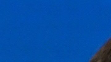 Equipo económico de Joe Biden (arriba de izquierda a derecha) nominados a presidir el Consejo de Asesores Económicos (CEA), Cecilia Rouse, secretaría del Tesoro, Janet Yellen, Subsecretario del Tesoro, Adewale Wally Adeyemo, (abajo) miembro de la CEA, Jared Bernstein, Oficina de la gestión del Presupuesto, Neera Tanden, y miembro de la CEA, Heather Boushey./AFP via Getty Images