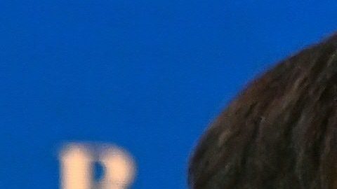 Equipo económico de Joe Biden (arriba de izquierda a derecha) nominados a presidir el Consejo de Asesores Económicos (CEA), Cecilia Rouse, secretaría del Tesoro, Janet Yellen, Subsecretario del Tesoro, Adewale Wally Adeyemo, (abajo) miembro de la CEA, Jared Bernstein, Oficina de la gestión del Presupuesto, Neera Tanden, y miembro de la CEA, Heather Boushey./AFP via Getty Images
