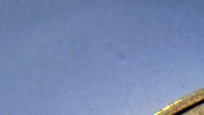 El alcalde del pueblo ofrece a los compradores potenciales un edificio adecuado para ellos.