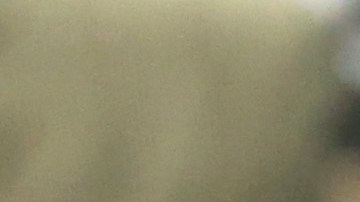 Su majestad, Michael Jordan.