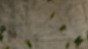 Ejercicio estiramientos