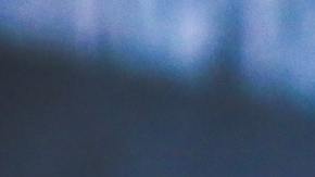 ¿Qué diferencia hay entre comer proteínas de origen vegetal o animal?