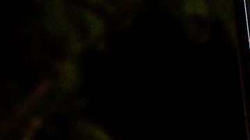 Hasta la fecha, Selena es una de las artistas latinas más vendidas de todos los tiempos.