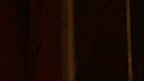 Serie de Selena Quintanilla en Netflix