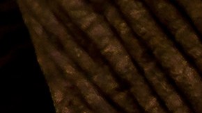 El elefante logró salir sano y salvo del incidente.