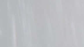 Según el profesor, hay cosas más importantes de higiene que bañarse a diario.