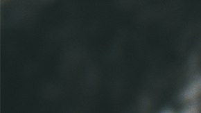 Alimentación vegana