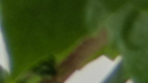 Ahora sí que hay una razón importante para dejar esta tarea para después.