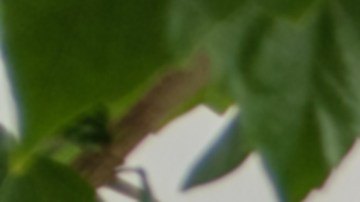 Ahora sí que hay una razón importante para dejar esta tarea para después.