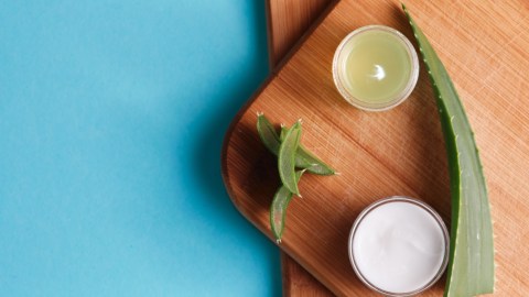 aloe vera