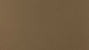 La pandemia obligó a que sus hijas dejaran de visitarla, lo que mermó su salud.