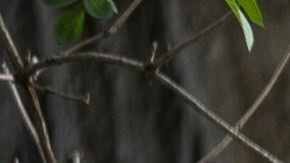 Ejercicio mascarilla