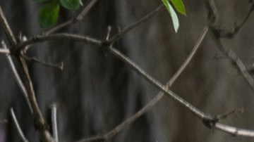 Ejercicio mascarilla