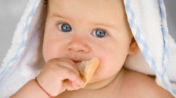 El bebé se encontró el pan que su tía había dejado con veneno.