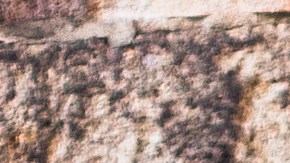 Por fortuna, el hombre sufrió algunas quemaduras leves.