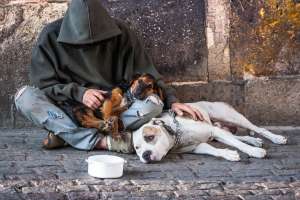 Le prenden fuego a hombre y a sus perros que viven en la calle