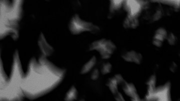 Aunque siempre tuvo oportunidades de elegir, nunca encontró a la mujer correcta.