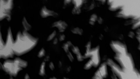 Aunque siempre tuvo oportunidades de elegir, nunca encontró a la mujer correcta.