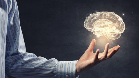 Nuestro cerebro está configurado para sobrevivir a las situaciones extremas, pero su respuesta varía en función de diversos factores.