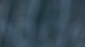 Lo disfrutó con singular alegría.