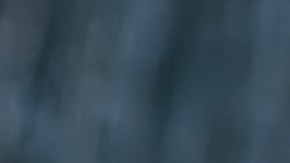 Lo disfrutó con singular alegría.