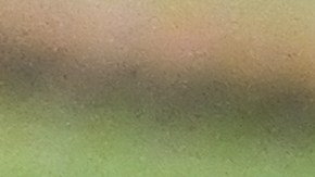 Otras 79 personas se llevaron un premio menor apostando por casi todos los números de la serie.