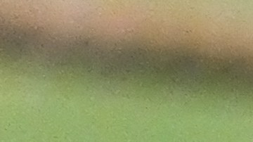 Otras 79 personas se llevaron un premio menor apostando por casi todos los números de la serie.