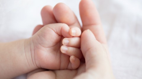 ¿A quién se le pudo ocurrir semejante barbaridad?