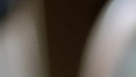 Se buscó todo lo relacionado al coronavirus.