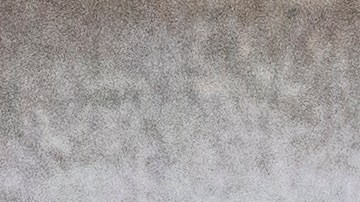 El 2021 parece que tampoco será miel sobre hojuelas.