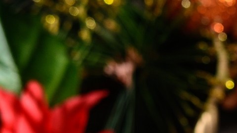 El tronco de Navidad tiene su origen en Francia.