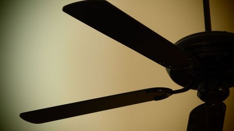 Los ventiladores tenían un costo de $150 dólares.