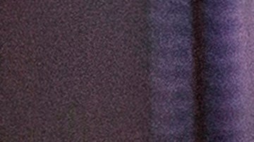 La mujer de 79 años ya había cumplido el tiempo requerido para jubilarse, pero no quiso hacerlo.